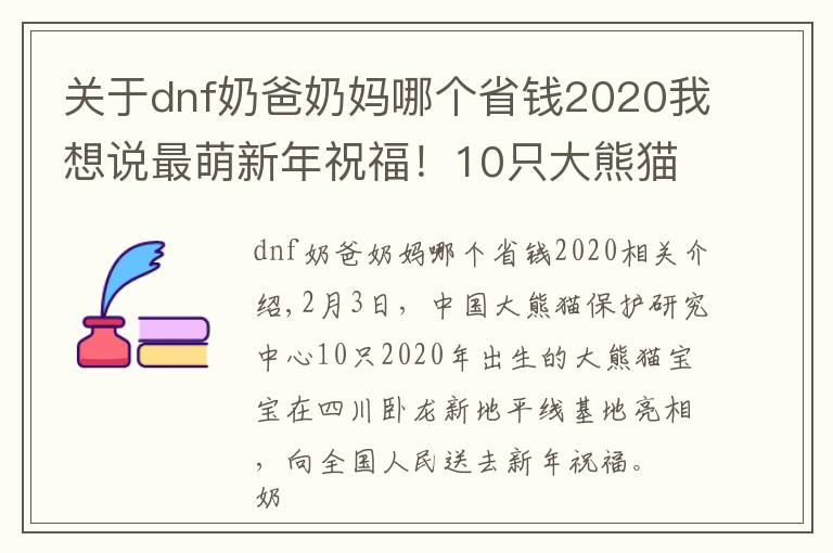 关于dnf奶爸奶妈哪个省钱2020我想说最萌新年祝福！10只大熊猫宝宝向全国人民“拜年”