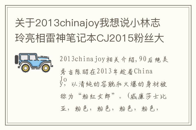 关于2013chinajoy我想说小林志玲亮相雷神笔记本CJ2015粉丝大会