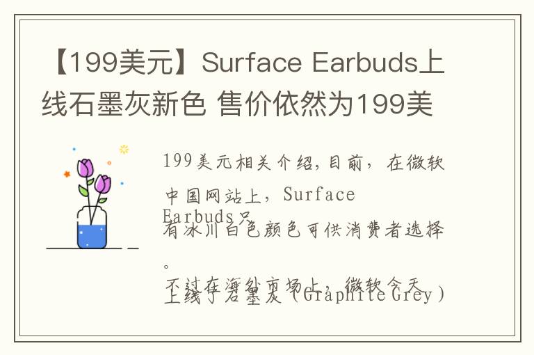 【199美元】Surface Earbuds上线石墨灰新色 售价依然为199美元
