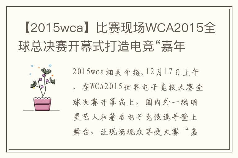 【2015wca】比赛现场WCA2015全球总决赛开幕式打造电竞“嘉年华”