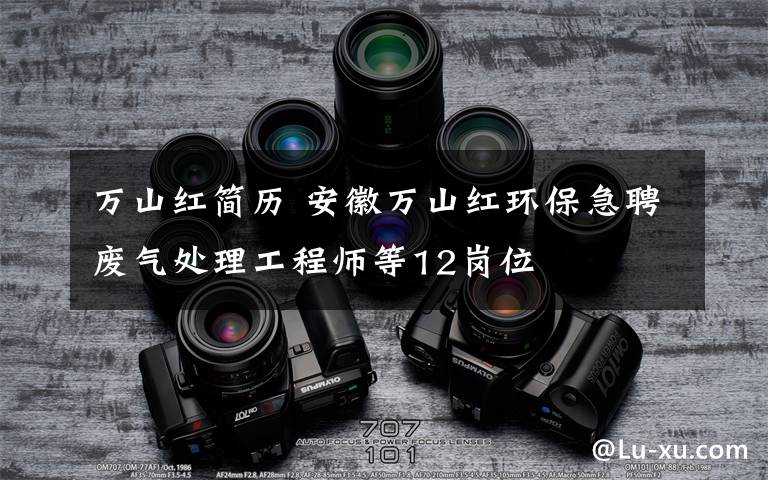 万山红简历 安徽万山红环保急聘废气处理工程师等12岗位