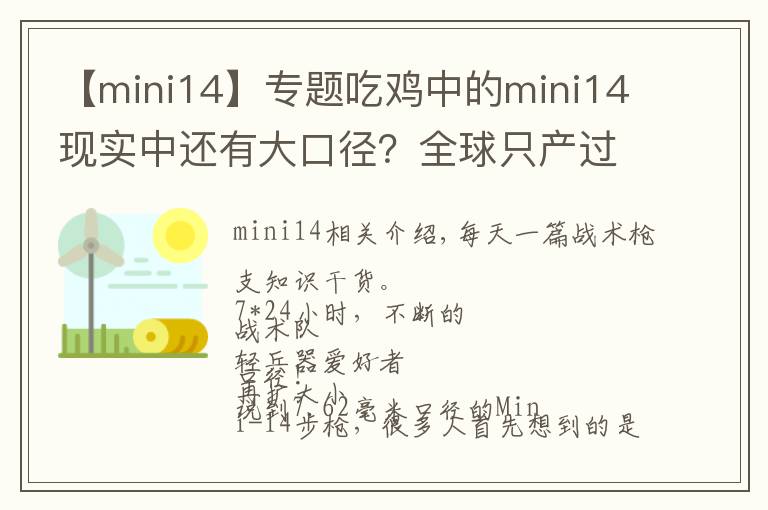 【mini14】专题吃鸡中的mini14现实中还有大口径？全球只产过一百支！