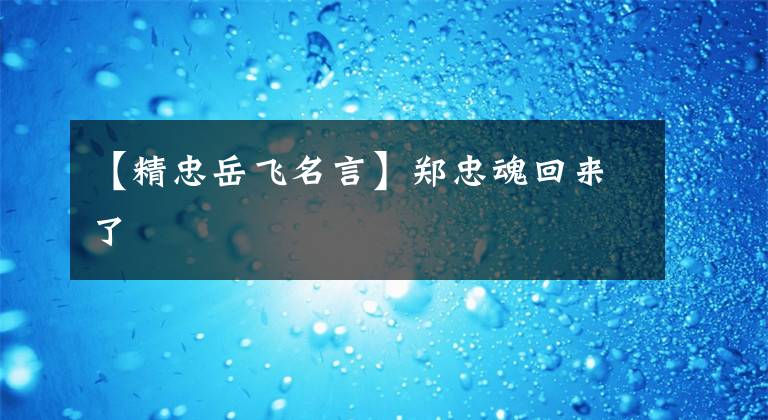 【精忠岳飞名言】郑忠魂回来了