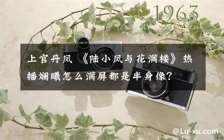 上官丹凤 《陆小凤与花满楼》热播斓曦怎么满屏都是半身像？