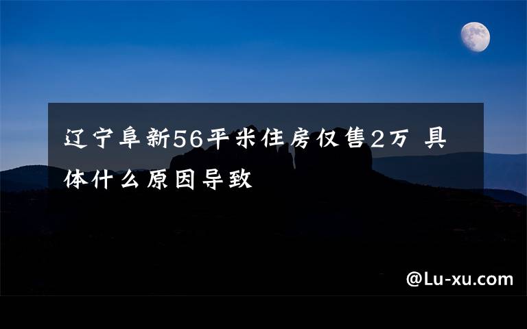 辽宁阜新56平米住房仅售2万 具体什么原因导致