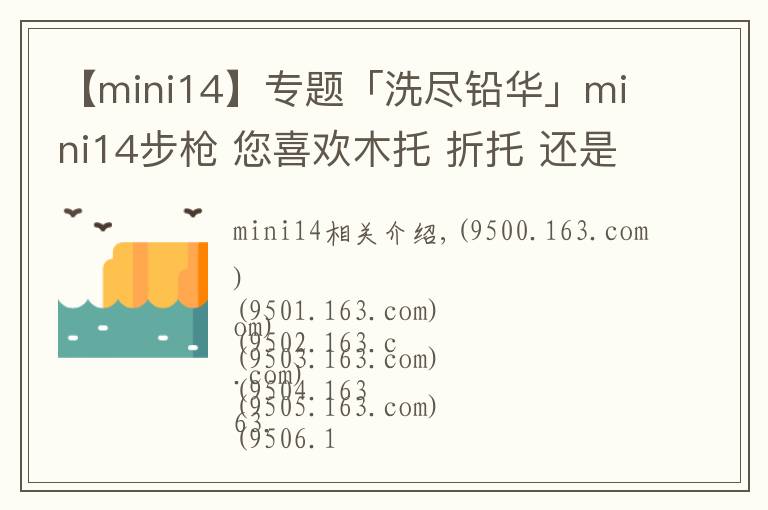 【mini14】专题「洗尽铅华」mini14步枪 您喜欢木托 折托 还是改造版