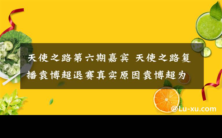 天使之路第六期嘉宾 天使之路复播袁博超退赛真实原因袁博超为什么退赛 陆瑶挺近三强冠军是谁