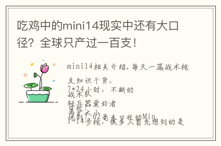 吃鸡中的mini14现实中还有大口径？全球只产过一百支！