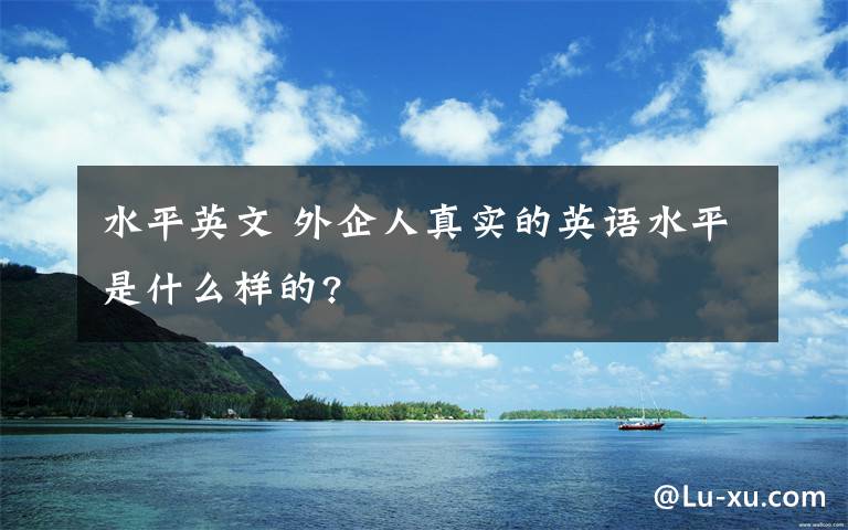 水平英文 外企人真实的英语水平是什么样的?