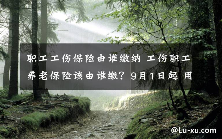 职工工伤保险由谁缴纳 工伤职工养老保险该由谁缴？9月1日起 用人单位买单