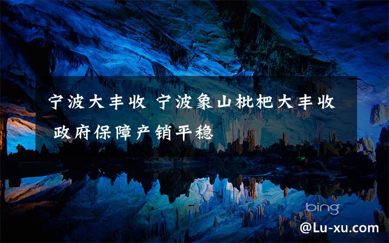 宁波大丰收 宁波象山枇杷大丰收 政府保障产销平稳