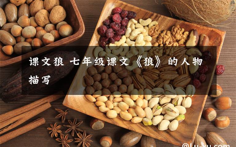 课文狼 七年级课文《狼》的人物描写文章配图