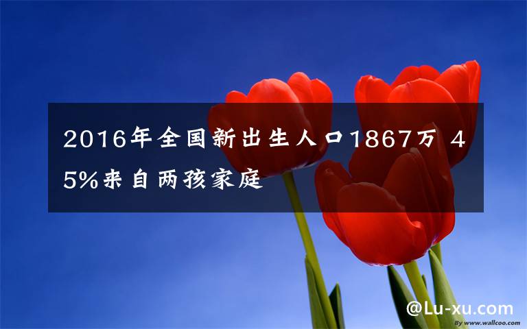 2016年全国新出生人口1867万 45%来自两孩家庭