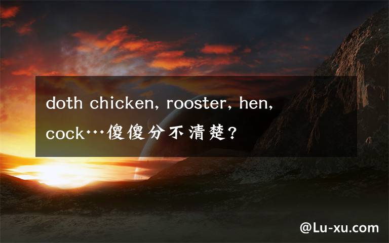 doth chicken, rooster, hen, cock…傻傻分不清楚?