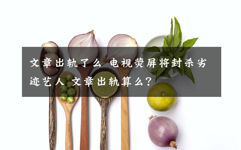 文章出轨了么 电视荧屏将封杀劣迹艺人 文章出轨算么？