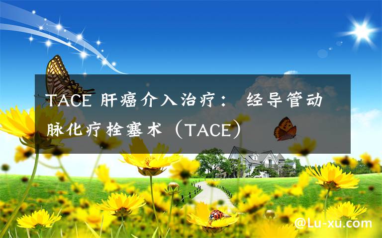 TACE 肝癌介入治疗： 经导管动脉化疗栓塞术（TACE）