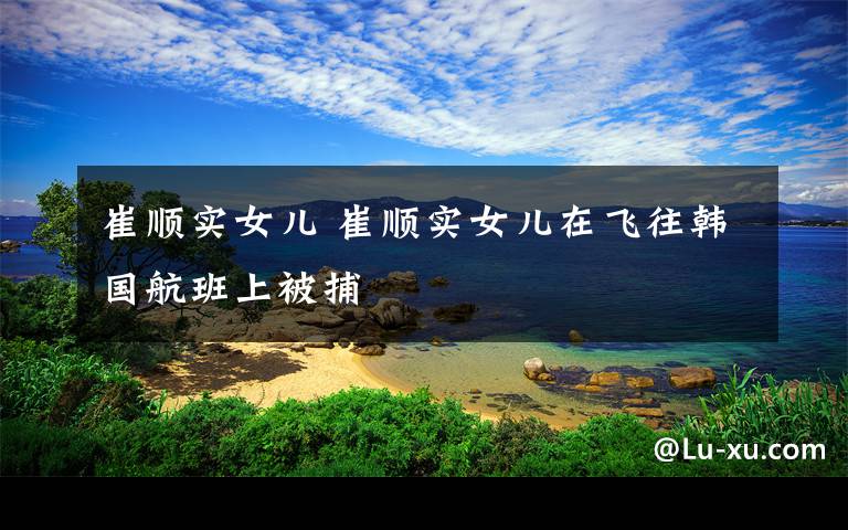 崔顺实女儿 崔顺实女儿在飞往韩国航班上被捕