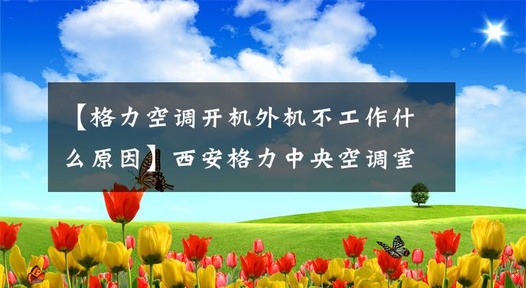 【格力空调开机外机不工作什么原因】西安格力中央空调室外机不工作的原因