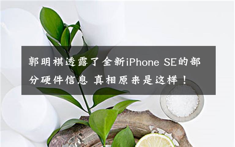 郭明祺透露了全新iPhone SE的部分硬件信息 真相原来是这样！