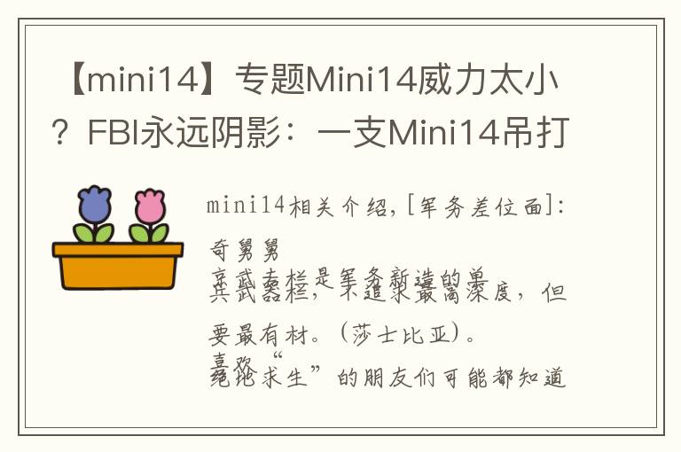 【mini14】专题Mini14威力太小？FBI永远阴影：一支Mini14吊打8名探员
