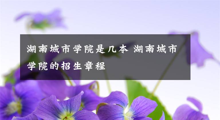 湖南城市学院是几本 湖南城市学院的招生章程