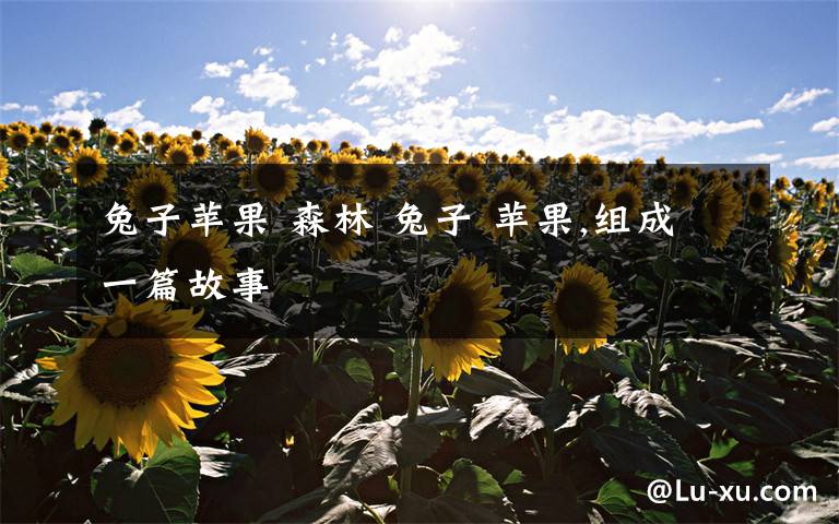 兔子苹果 森林 兔子 苹果,组成一篇故事