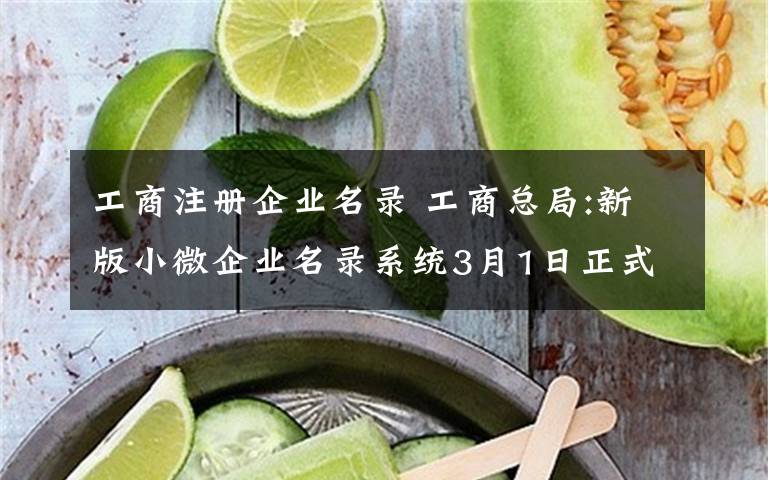 工商注册企业名录 工商总局:新版小微企业名录系统3月1日正式上线