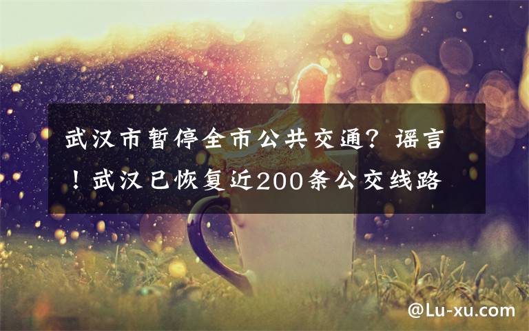 武汉市暂停全市公共交通？谣言！武汉已恢复近200条公交线路