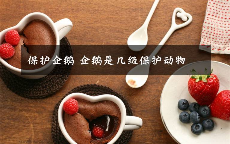 保护企鹅 企鹅是几级保护动物文章配图