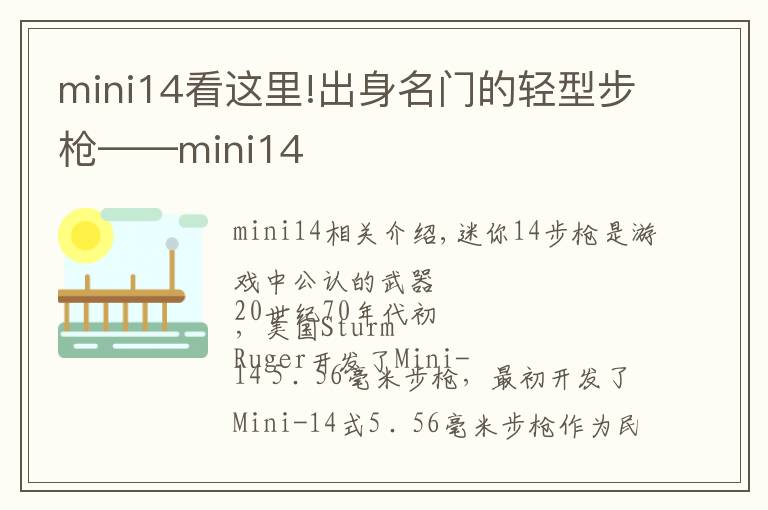 mini14看这里!出身名门的轻型步枪——mini14