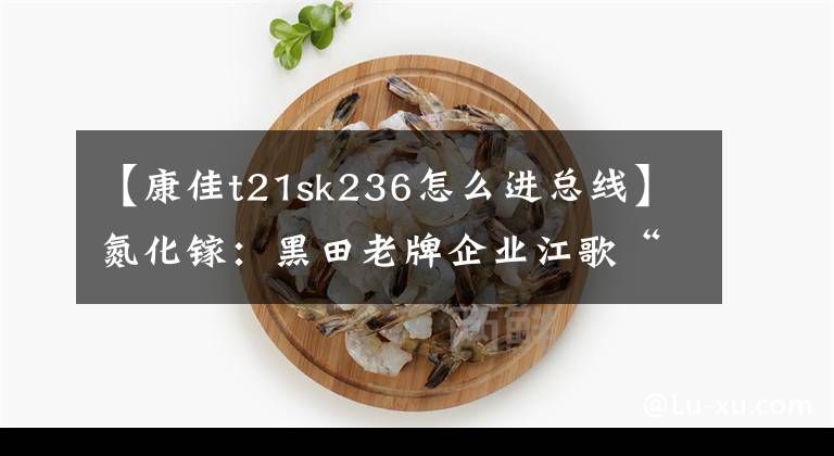 【康佳t21sk236怎么进总线】氮化镓：黑田老牌企业江歌“弯道超车”的推进剂。