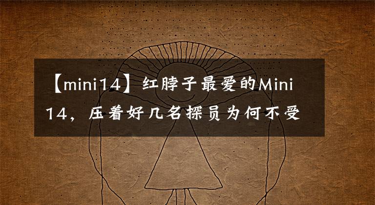 【mini14】红脖子最爱的Mini14，压着好几名探员为何不受美军待见？