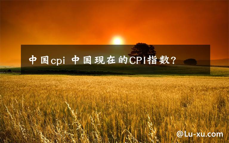 中国cpi 中国现在的CPI指数?