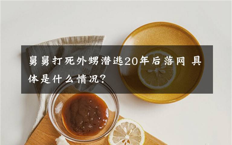 舅舅打死外甥潜逃20年后落网 具体是什么情况？