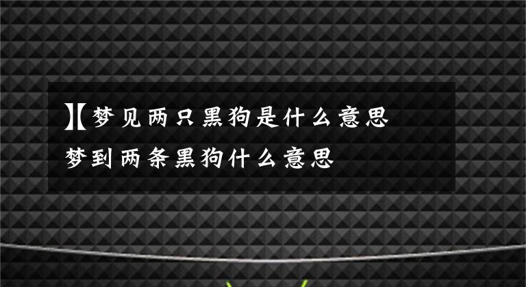 【梦见两只黑狗是什么意思】梦到两条黑狗什么意思