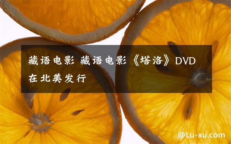 藏语电影 藏语电影《塔洛》DVD在北美发行