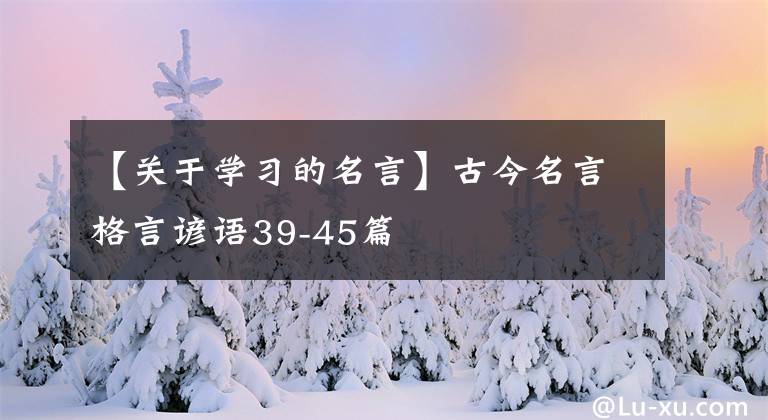 【关于学习的名言】古今名言格言谚语39-45篇