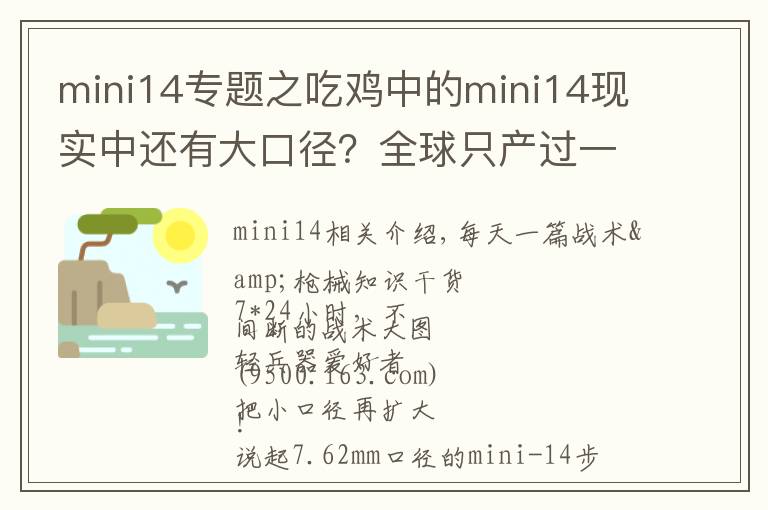 mini14专题之吃鸡中的mini14现实中还有大口径？全球只产过一百支！