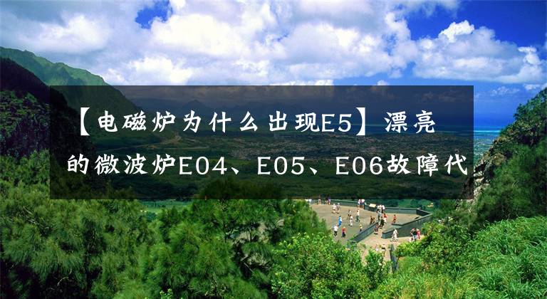 【电磁炉为什么出现E5】漂亮的微波炉E04、E05、E06故障代码维修详细信息