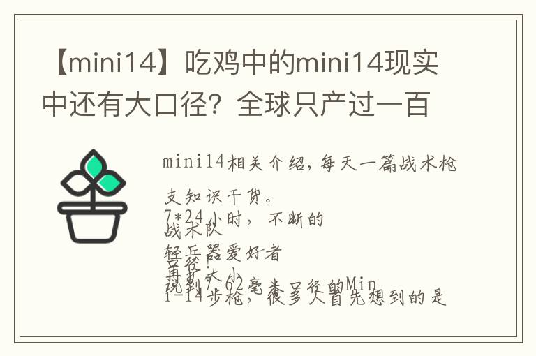 【mini14】吃鸡中的mini14现实中还有大口径？全球只产过一百支！
