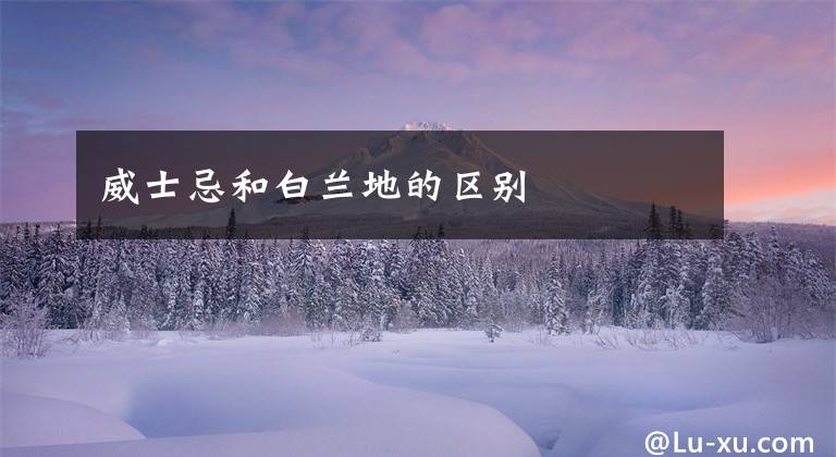 威士忌和白兰地的区别文章配图