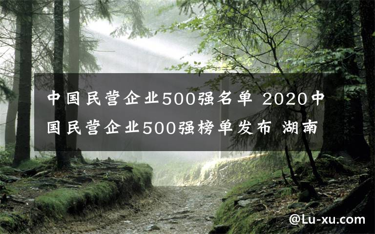 中国民营企业500强名单 2020中国民营企业500强榜单发布 湖南六家企业入围