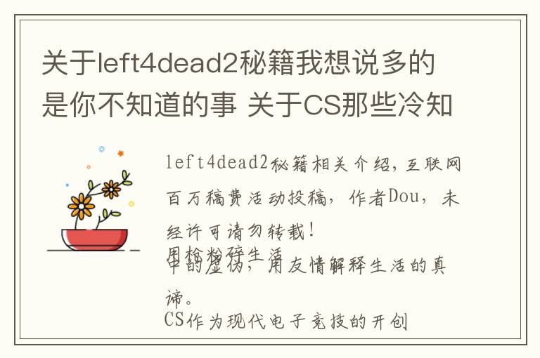 关于left4dead2秘籍我想说多的是你不知道的事 关于CS那些冷知识