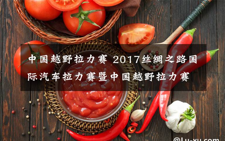 中国越野拉力赛 2017丝绸之路国际汽车拉力赛暨中国越野拉力赛7月7日红场发车