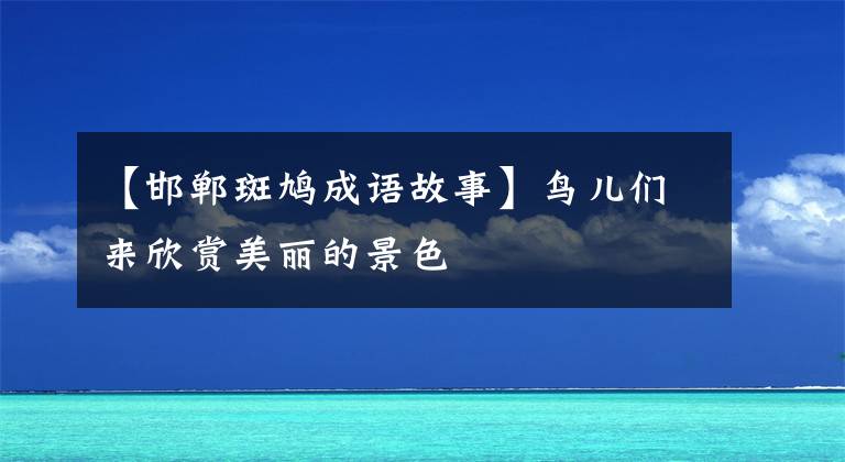 【邯郸斑鸠成语故事】鸟儿们来欣赏美丽的景色