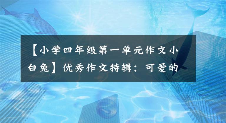 【小学四年级第一单元作文小白兔】优秀作文特辑：可爱的小白兔