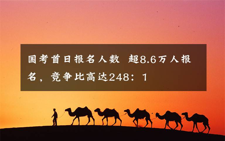 国考首日报名人数  超8.6万人报名，竞争比高达248：1