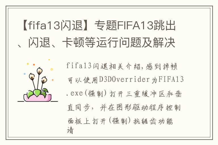 【fifa13闪退】专题FIFA13跳出、闪退、卡顿等运行问题及解决方法汇总