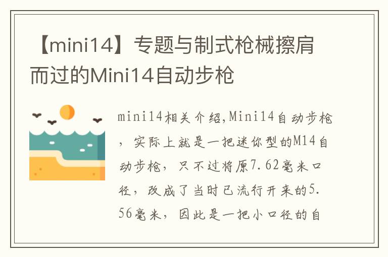 【mini14】专题与制式枪械擦肩而过的Mini14自动步枪