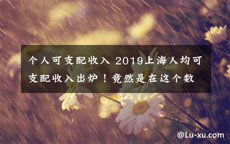 个人可支配收入 2019上海人均可支配收入出炉！竟然是在这个数……